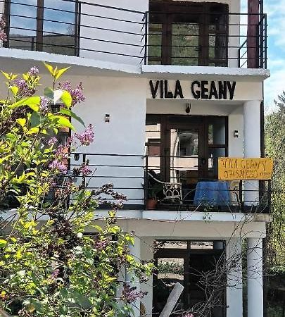 Pensiunea Vila Geany Srl Băile Herculane Exteriér fotografie