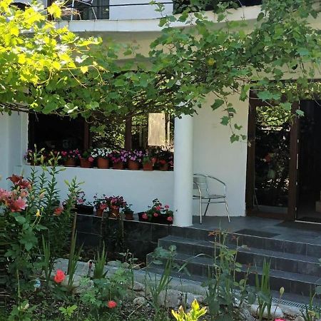 Pensiunea Vila Geany Srl Băile Herculane Exteriér fotografie