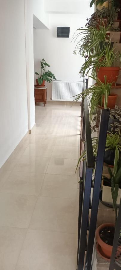 Pensiunea Vila Geany Srl Băile Herculane Exteriér fotografie