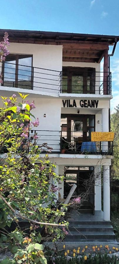 Pensiunea Vila Geany Srl Băile Herculane Exteriér fotografie