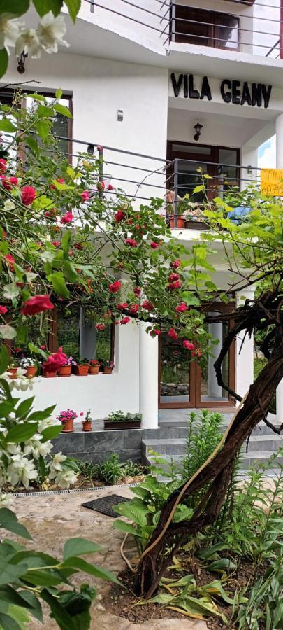 Pensiunea Vila Geany Srl Băile Herculane Exteriér fotografie