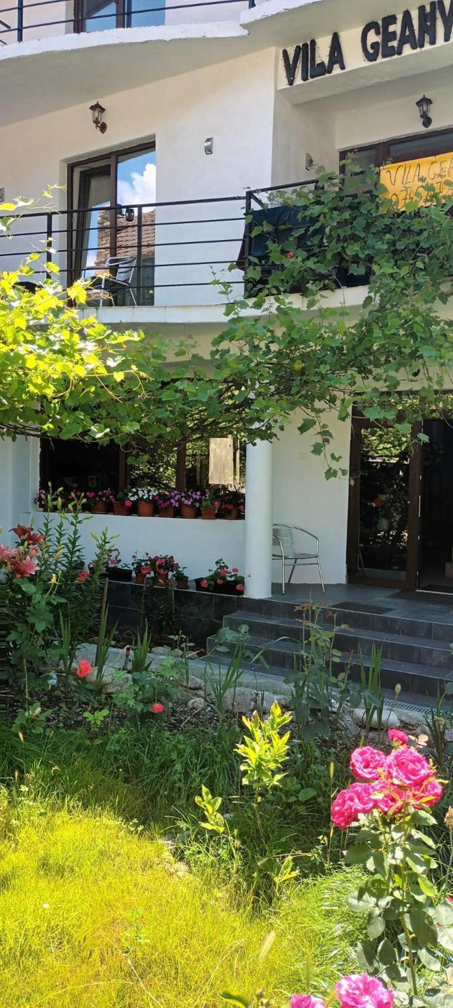 Pensiunea Vila Geany Srl Băile Herculane Exteriér fotografie